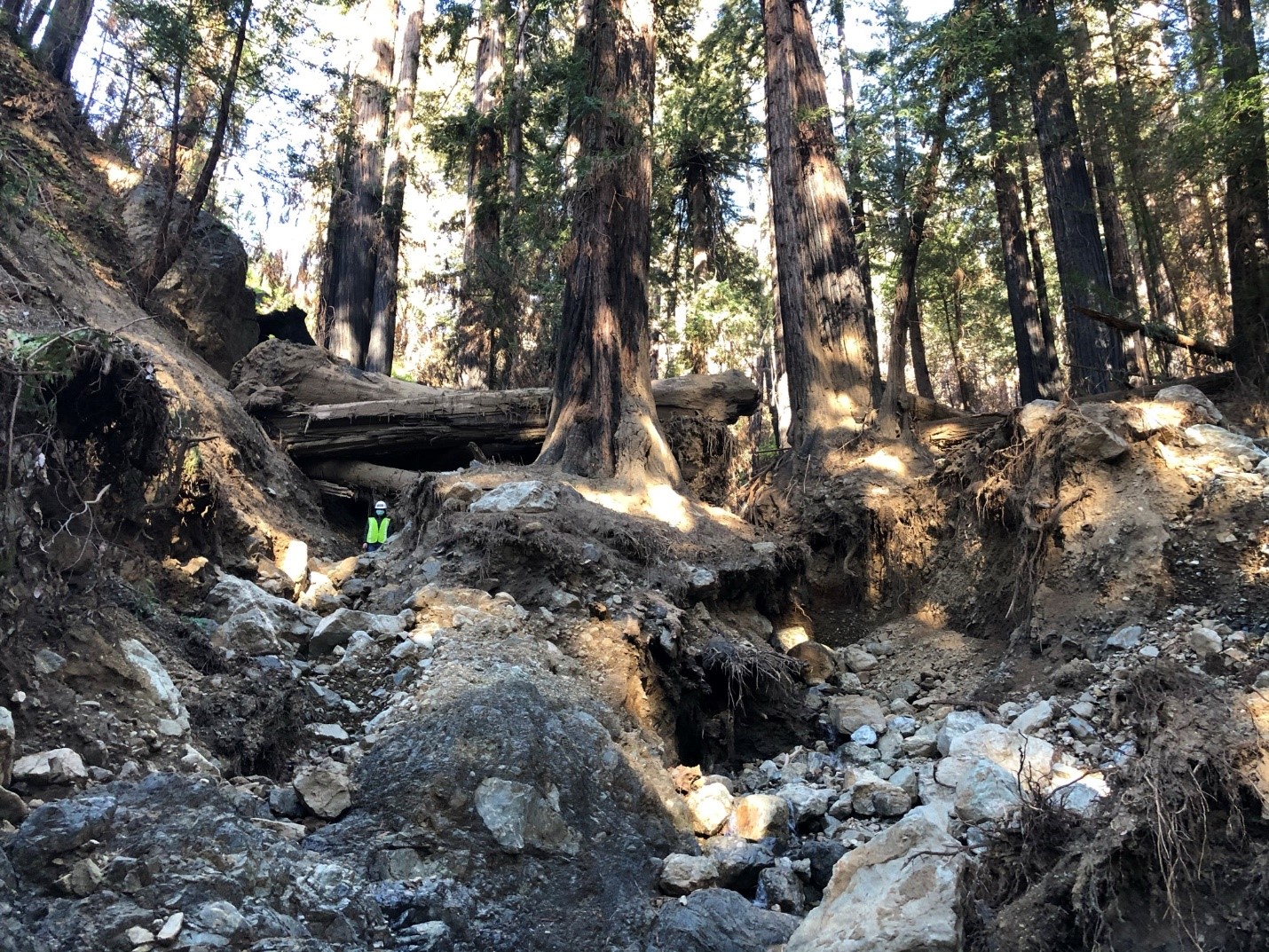 View of the breached debris/tree dam from downstream. PhD student Jhih-Rou Huang can be seen for scale. 